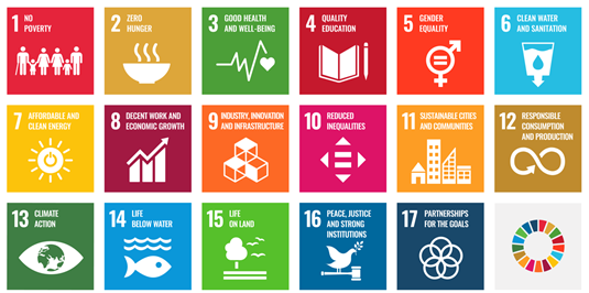 transcosmos Contribution to the Sustainable Development Goals (SDGs)