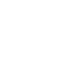 AI System